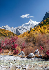The Last Shangri-La with Chana Dorje mountain in autumn pine forest at Yading