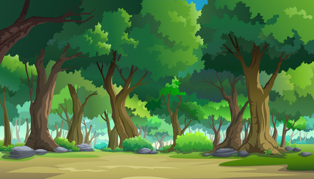 Cartoon Forest Background Images HD Pictures and Wallpaper For Free  Download  Pngtree