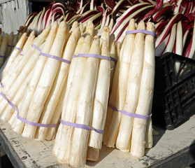 bunch of white big asparagus for sale from the greengrocer