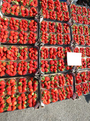 red ripe strawberries for sale on the street market