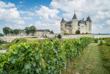 Fototapeta na wymiar Saumur castle with vineyards in front and grapes