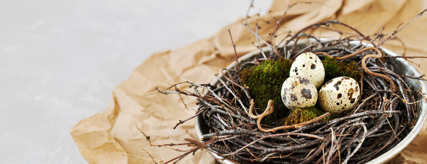 Quail eggs on green natural moss in a nest of branches made in an old iron sieve. Eco-friendly retro concept postcard for Easter.