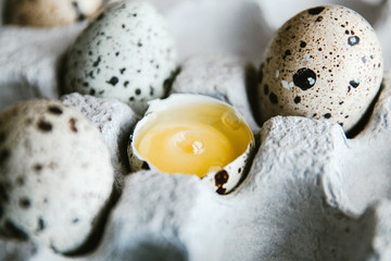 Quail eggs in cardboard packaging. Yolk of quail eggs without shell