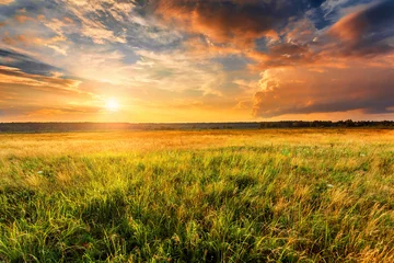 Fototapeten Sommerlandschaft mit unbebautem Feld und wunderschönem Sonnenuntergang darüber. © Maxim Khytra