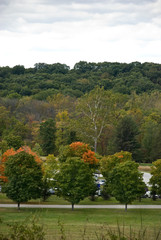 Fototapeta premium Beautiful golden autumn at Storm King Art Center hills