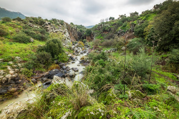 Fototapeta na wymiar Sa'ar waterfall, northen israel