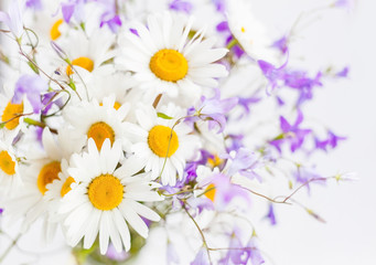 bouquet of wild flowers on a white background