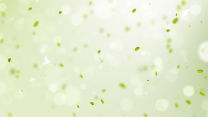 spring background, spring background illustration with green leaves, bokeh, petals and birds