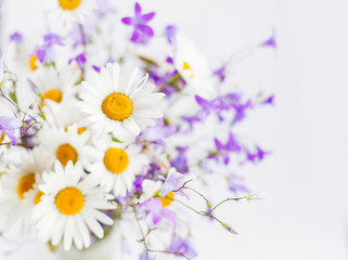 Fototapeta premium bouquet of wild flowers on a white background