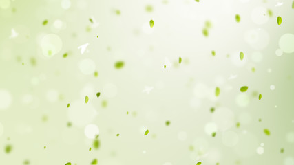 spring background, spring background illustration with green leaves, bokeh, petals and birds