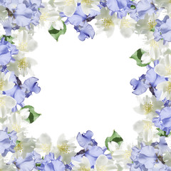 Beautiful floral background of irises and Jasmine