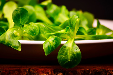Valerianella locusta, corn salad, lamb's lettuce