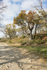 Small Utrish, Caucasus,  Russia