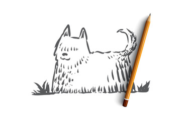 Dog, walking, outdoor, pet, domestic concept. Hand drawn isolated vector.