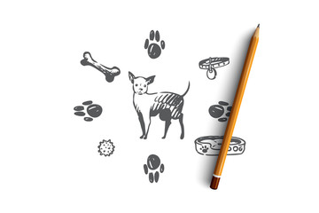 Dog, pet, animal, accessories, care concept. Hand drawn isolated vector.