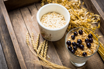 Healthy and tasty breakfast with muesli black currant and yogurt. Selective focus.