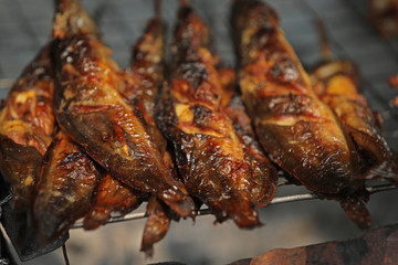 Fisch gebraten gegrillt