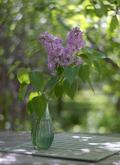 blooming sprig of lilac in a green glass vase on a blurred green background