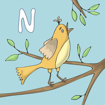 Illustrated alphabet letter N and Nightingale. ABC book image vector cartoon. The nightingale sings on a tree branch. Children illustrated alphabet character.