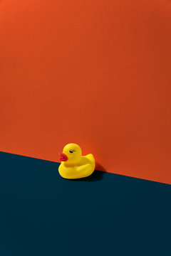 Yellow duck on green floor and terracotta wall