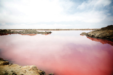 Pink Lake, Namibia Africa