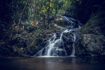 waterfall in the forest