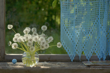 Still life on a wooden window with a bunch of white  dandelions in a glass vase