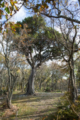 Small Utrish, Caucasus,  Russia