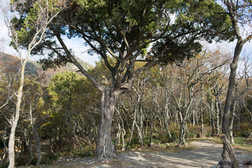 Small Utrish, Caucasus,  Russia