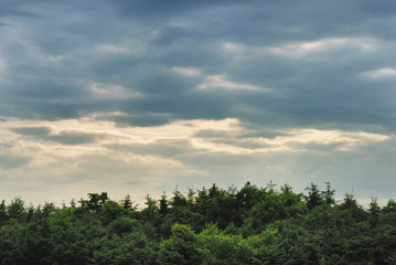 木　空　雲　夕暮れ　素材