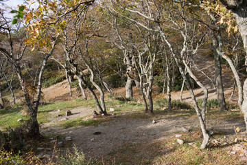 Small Utrish, Caucasus,  Russia
