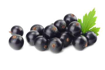 black currant with green leaf isolated on white background. macro