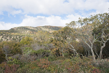 Small Utrish, Caucasus,  Russia
