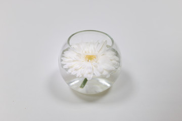 Obraz na płótnie Canvas white gerbera flower in a transparent glass vase in water on a white background