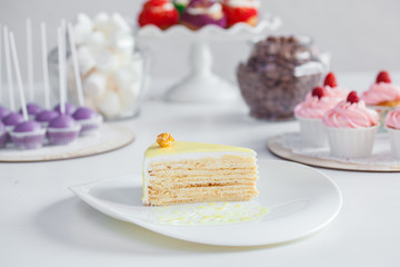 delicious cakes on a white plate on a white background