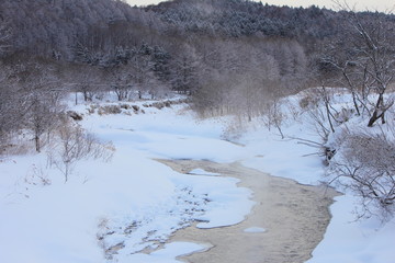 冬　道路