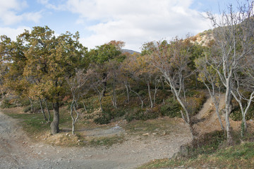 Small Utrish, Caucasus,  Russia