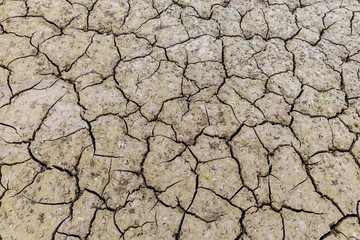 cracked earth background texture, Image of drying mud which can be used as background or pattern.