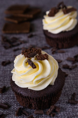 chocolate cupcakes with white cream and chocolate chips on a wooden background