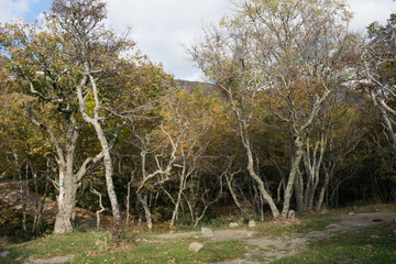 Small Utrish, Caucasus,  Russia