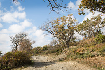 Small Utrish, Caucasus,  Russia