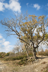 Small Utrish, Caucasus,  Russia