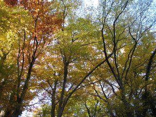 Herbst und Romantik in der Eifel