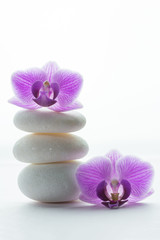 Two purple orchid blossoms - one on top of three white roundstones and the other in front of it - white background
