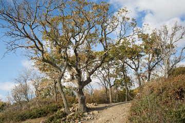 Small Utrish, Caucasus,  Russia