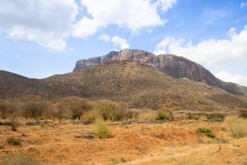 African dry hot savanna with dried plants and mountains in the background