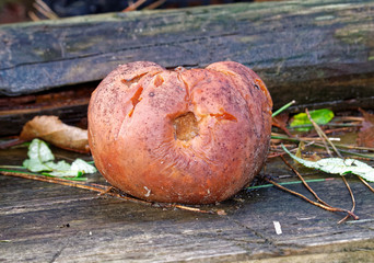 Decay.
