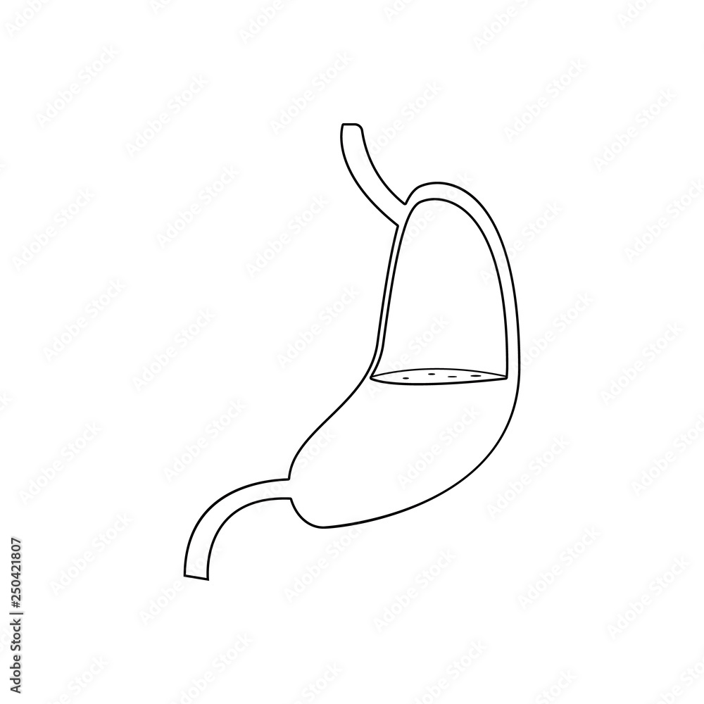 Poster stomach icon. element of human parts for mobile concept and web apps icon. outline, thin line icon f