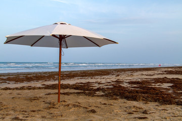Umbrella on the Beach