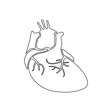 real image of the human heart icon. Element of Human parts for mobile concept and web apps icon. Outline, thin line icon for website design and development, app development